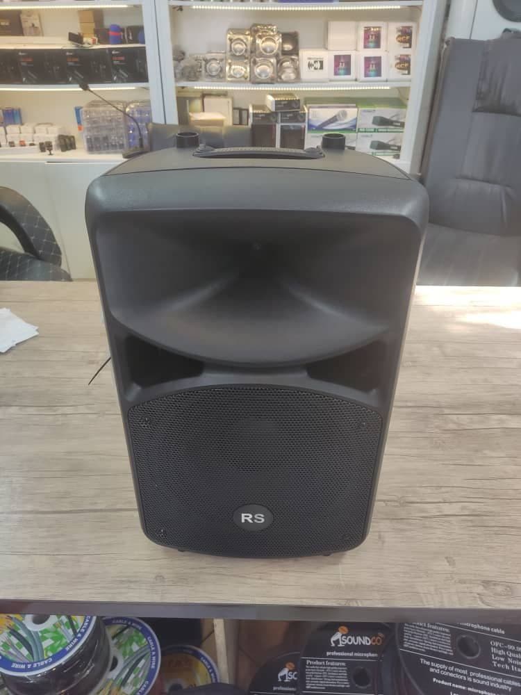 اسپیکر باند اكتيو 10 اينچ ( دکوراتیو ) RS مدل RS1400 — تصویر ۴