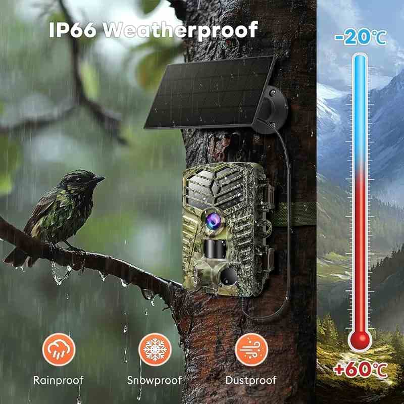 دوربین تله شکار و طبیعت خورشیدی، Solareye WiFi مدل SV-TCYW-4K دوربین‌ 4K 64MP با قابلیت دید در شب و حرکت فعال شونده ضد آب IP66با کارت حافظه Micro SD 32 گیگابایتی — تصویر ۲