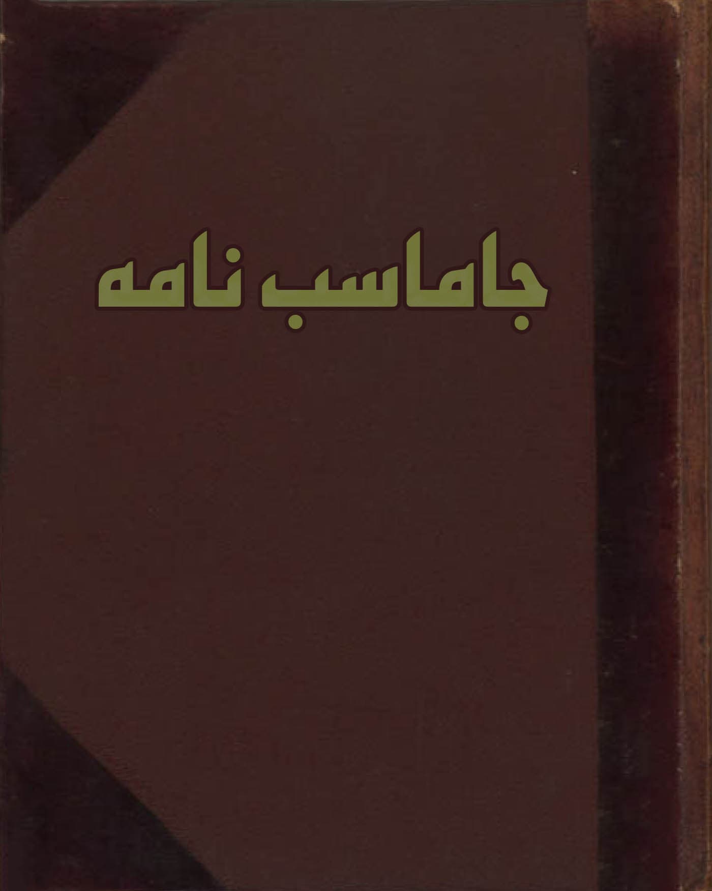 دانلود کتاب جاماسب نامه خطی