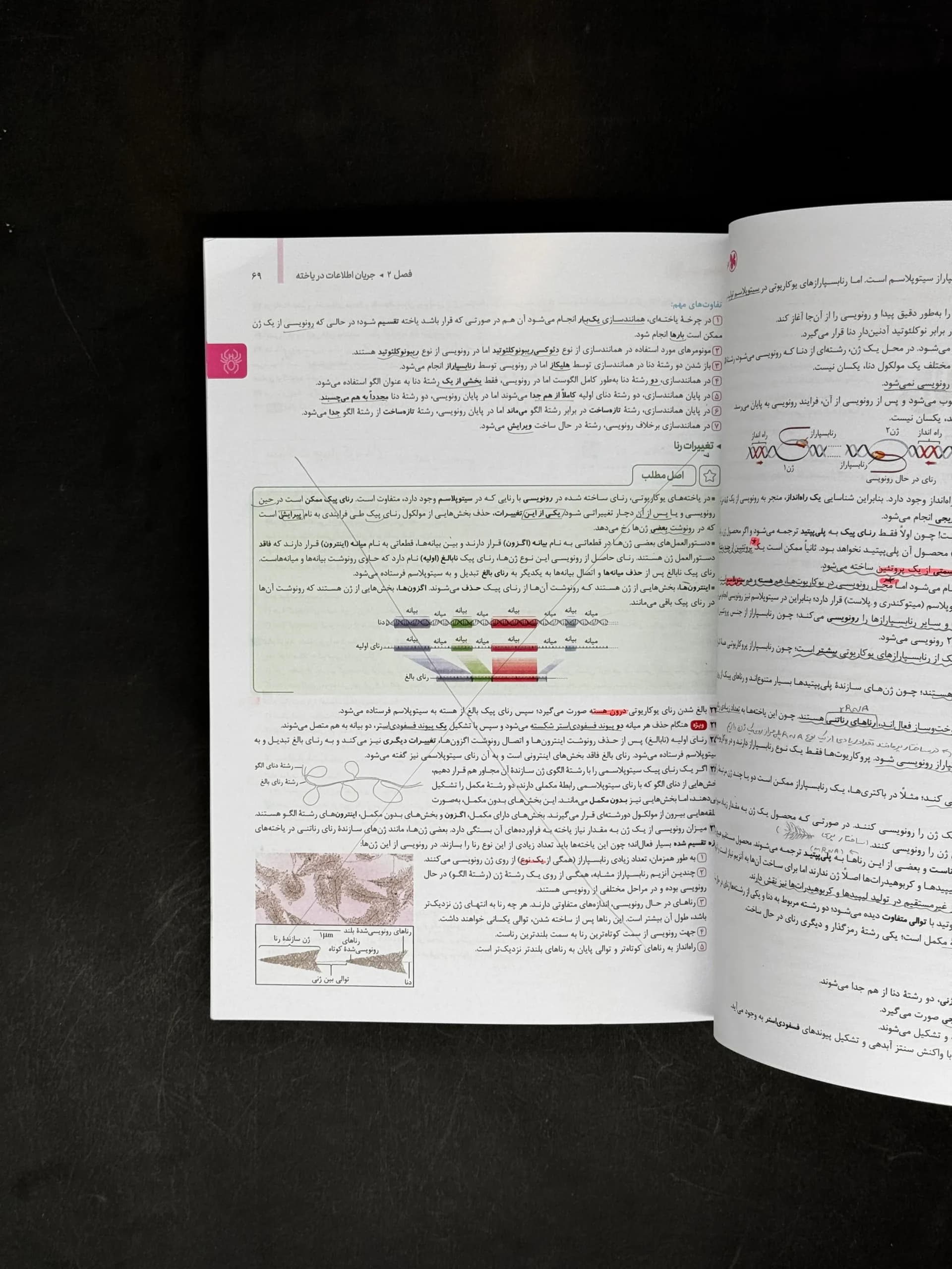 جامع زیست شناسی دوازدهم مهروماه — تصویر ۴