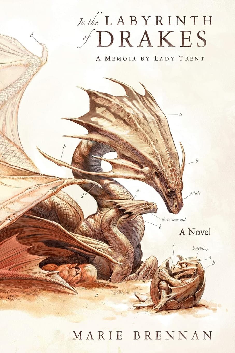 In the Labyrinth of Drakes (A Natural History of Dragons Book 4) در هزارتوی دریک‌ها (متن کامل بدون حذفیات) — تصویر ۲