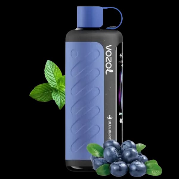 پاد یکبار مصرف وزول گیر هوکا بلوبری نعنا 40000 پاف Vozol gear hookah blueberry mint pod