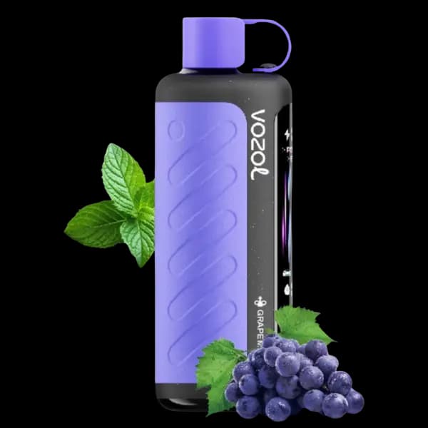 پاد یکبار مصرف وزول گیر هوکا انگور نعنا 40000 پاف Vozol gear hookah grape mint pod