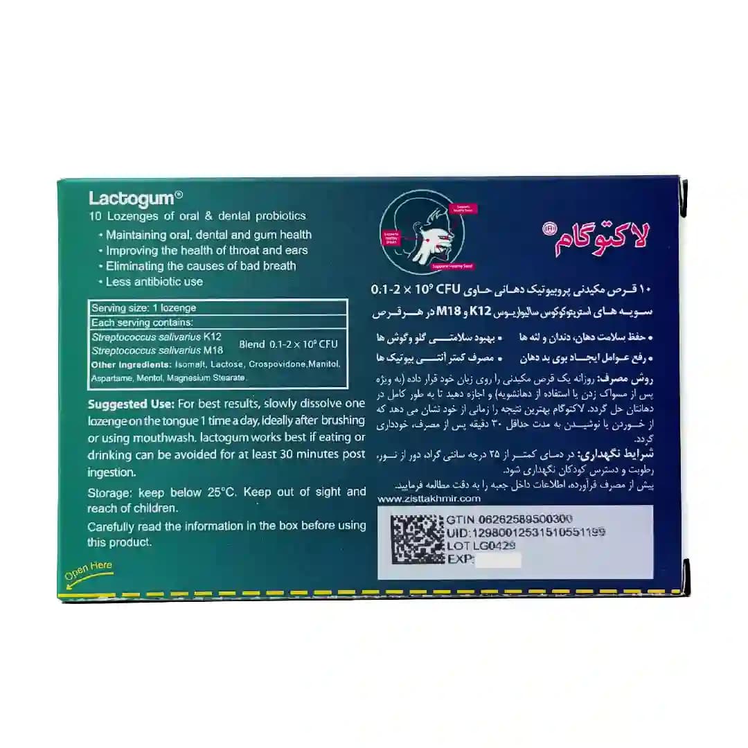 قرص مکیدنی زیست تخمیر لاکتوگام با طعم نعنا بسته 10 عددی/Zist Takhmir Mint Lactogum 10 Pcs — تصویر ۳