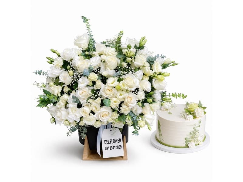 باکس گل و 6A0D09