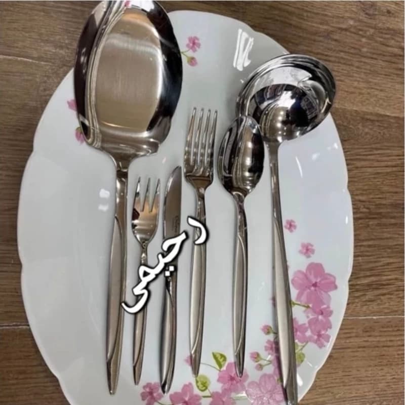 سرویس قاشق و چنگال 30نفره 156 پارچه دهانه فارسی میامی براق نقره ای شیکاگو (( هزینه ارسال درب منزل)) — تصویر ۲