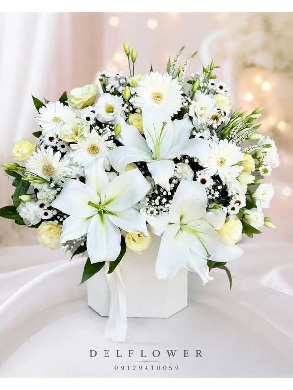 گل برای دیدار 8F6240 — تصویر ۲