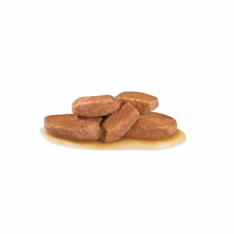 پوچ گربه رویال کنین مبتلا به دیابت Diabetic وزن 85 گرم — تصویر ۲
