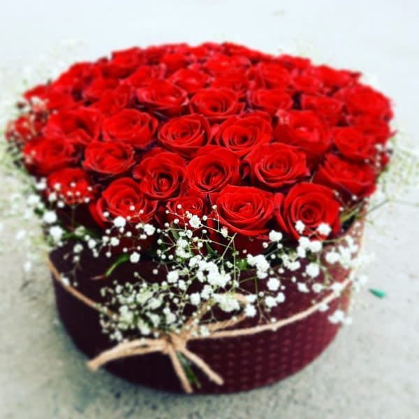 باکس رز هلندی لاکچری کد 2637 | گلفروشی آنلاین مازندران ، گیلان و گلستان ( ارسال گل به محل )