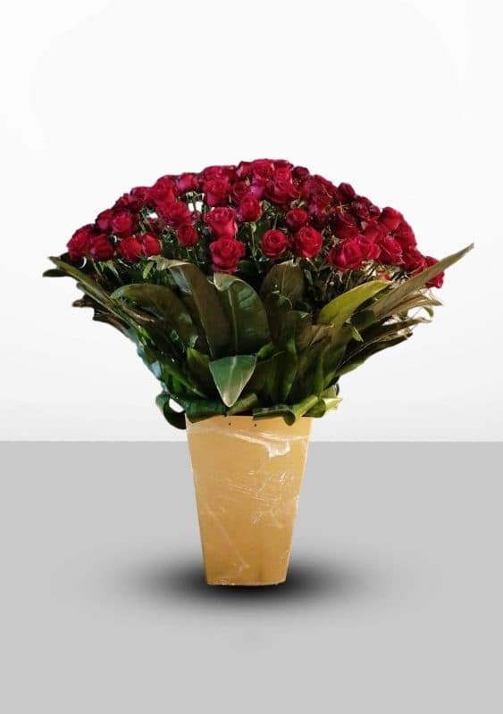 باکس گل رز قرمز BGRR2 – گل فروشی آنلاین خوشه