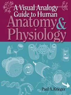 دانلود کتاب A Visual Analogy Guide to Human Anatomy& Physiology