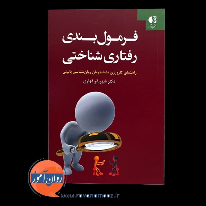 فرمول بندی رفتاری شناختی – شهربانو قهاری — تصویر ۲