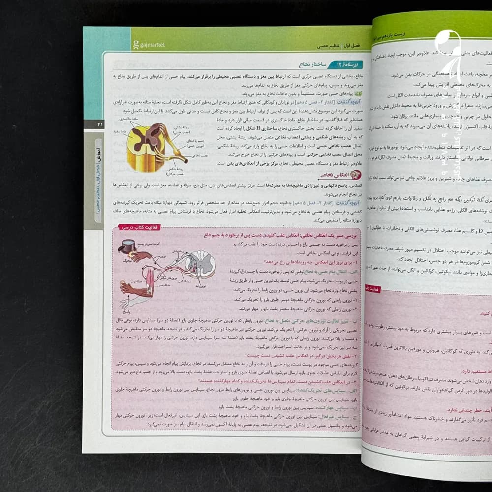 سیر تا پیاز زیست شناسی یازدهم گاج — تصویر ۳