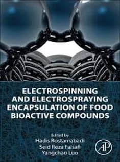 دانلود کتاب Electrospinning and Electrospraying Encapsulation of Food Bioactive Compounds