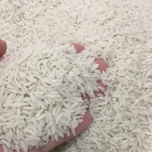 برنج طارم هاشمی درجه یک