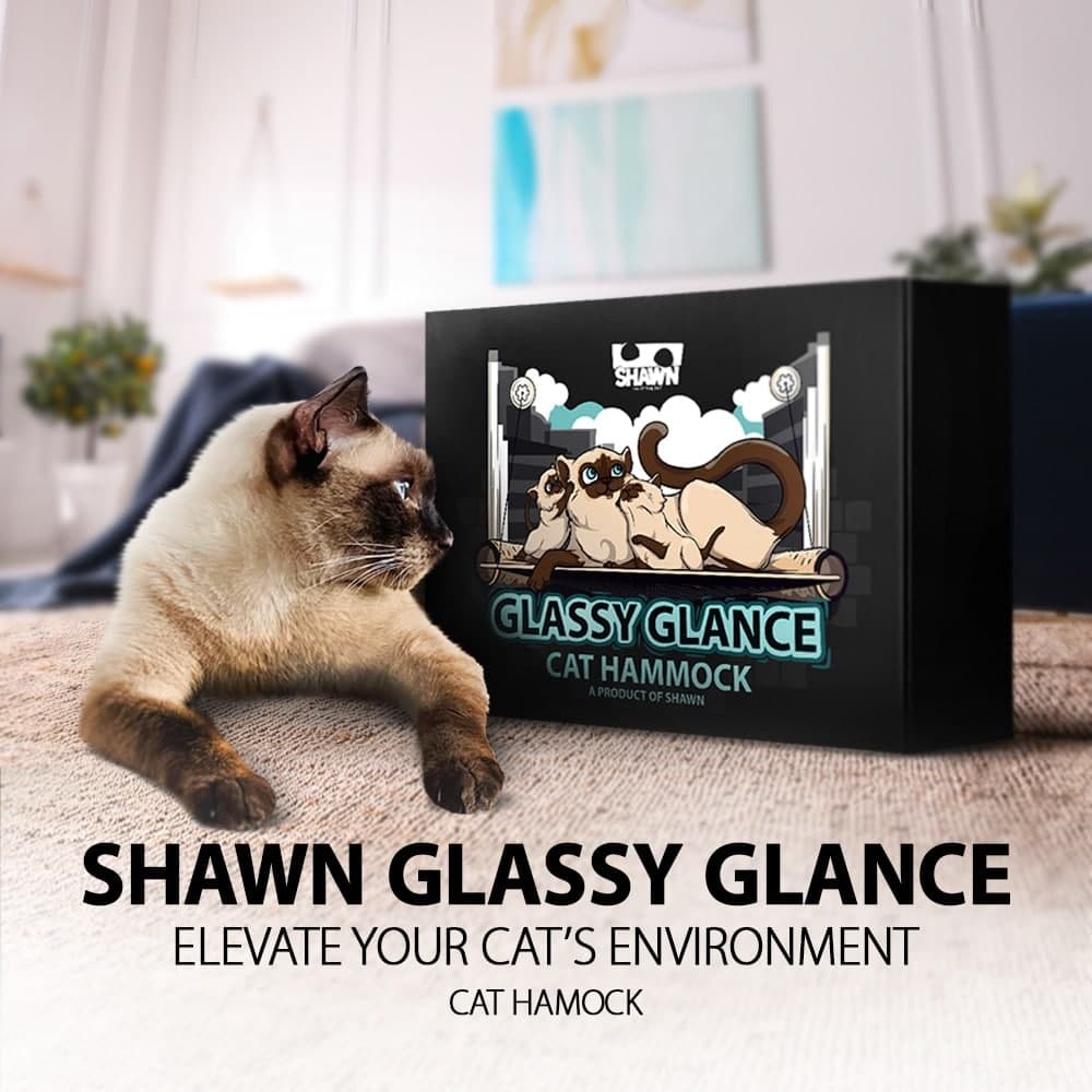جای خواب پشت پنجره ای گربه شاون Shawn — تصویر ۱۱