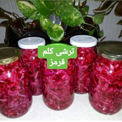 ترشی کلم قرمزشمال — تصویر ۲