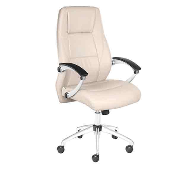 صندلی کارشناسی طبی داتیس مدل XS870