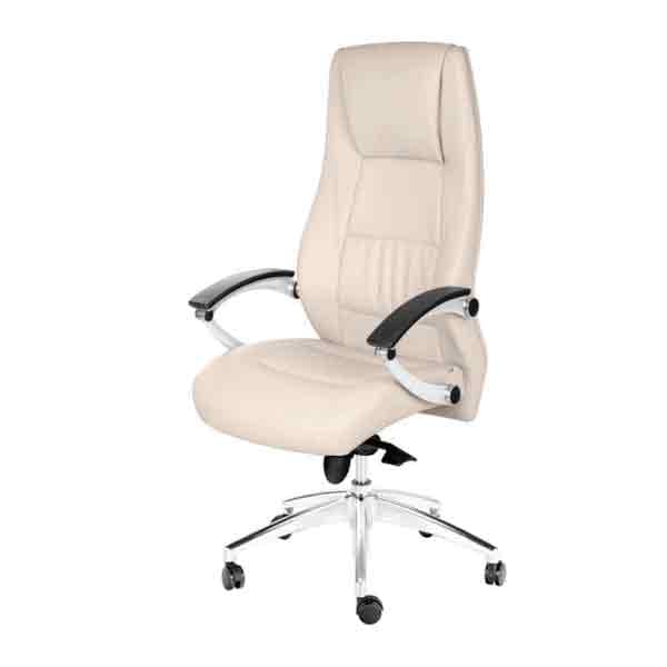 صندلی مدیریت طبی داتیس مدل MS870S