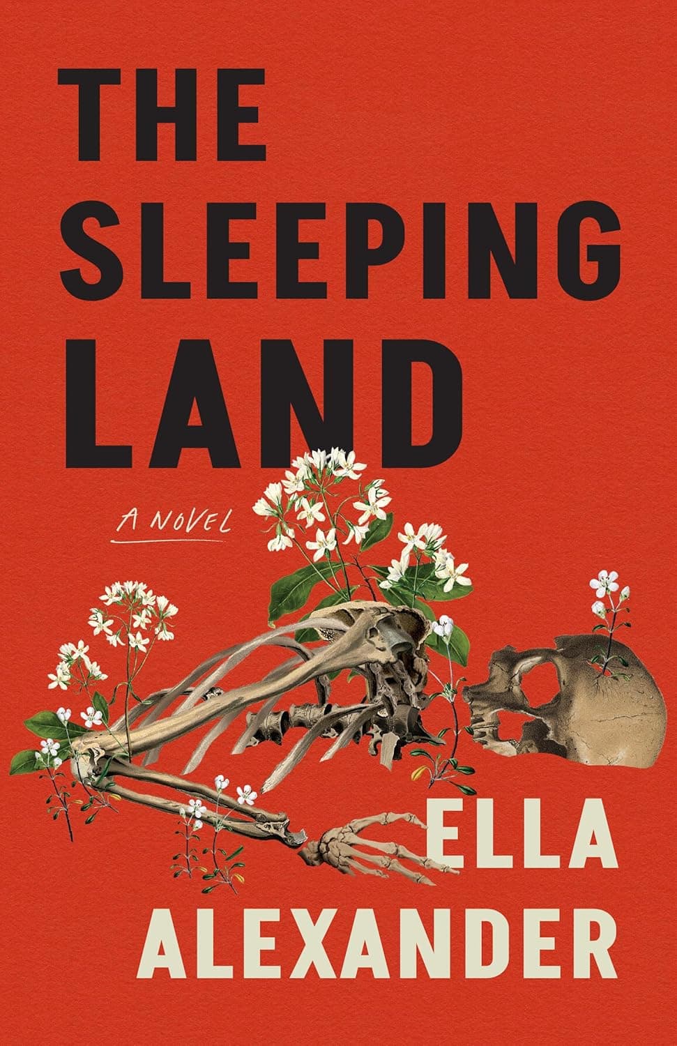 کتاب The Sleeping Land (سرزمین خفته) نسخه انگلیسی PDF | الا الکساندر