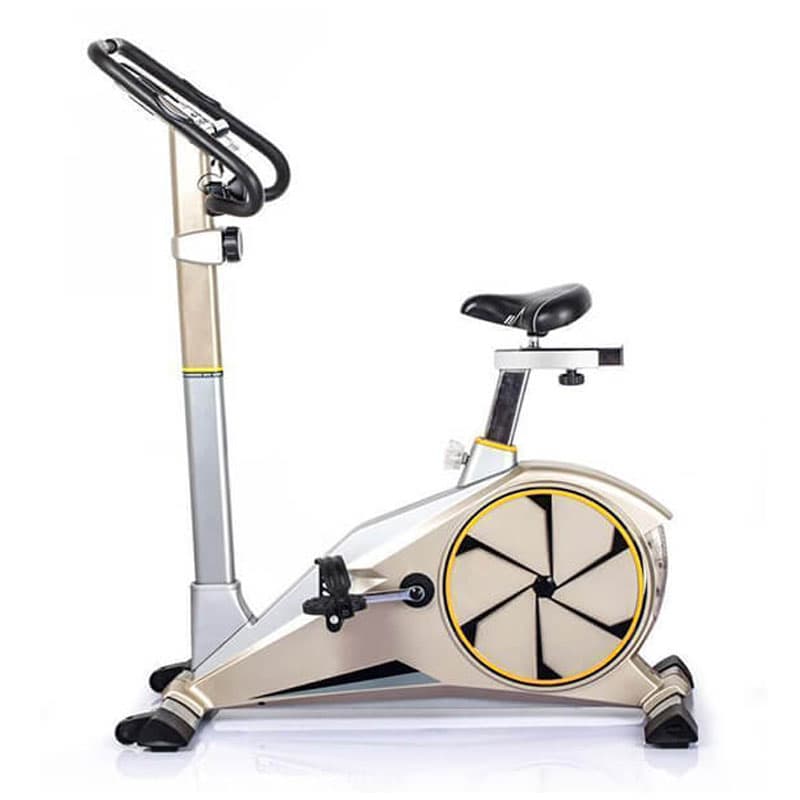 دوچرخه ثابت تایگر اسپرت مدل Tiger Sport G100