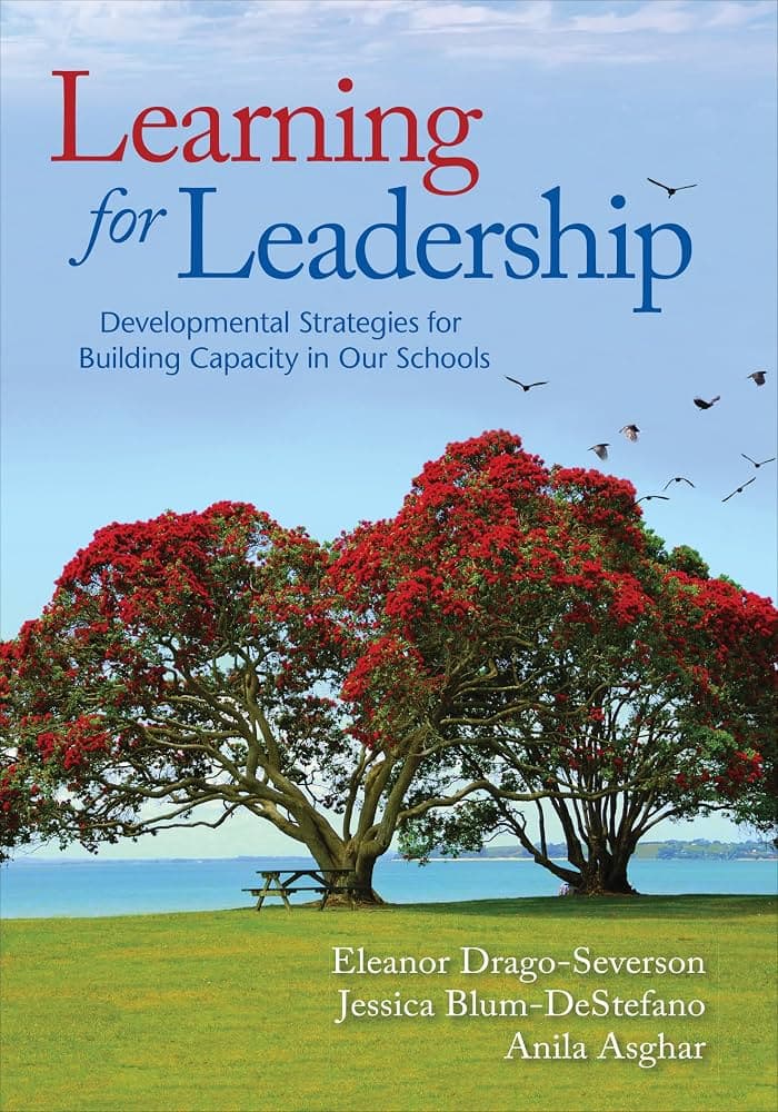 کتاب Learning for Leadership (یادگیری برای رهبری) نسخه انگلیسی PDF | میشل اندرسون | کریستین کاسی