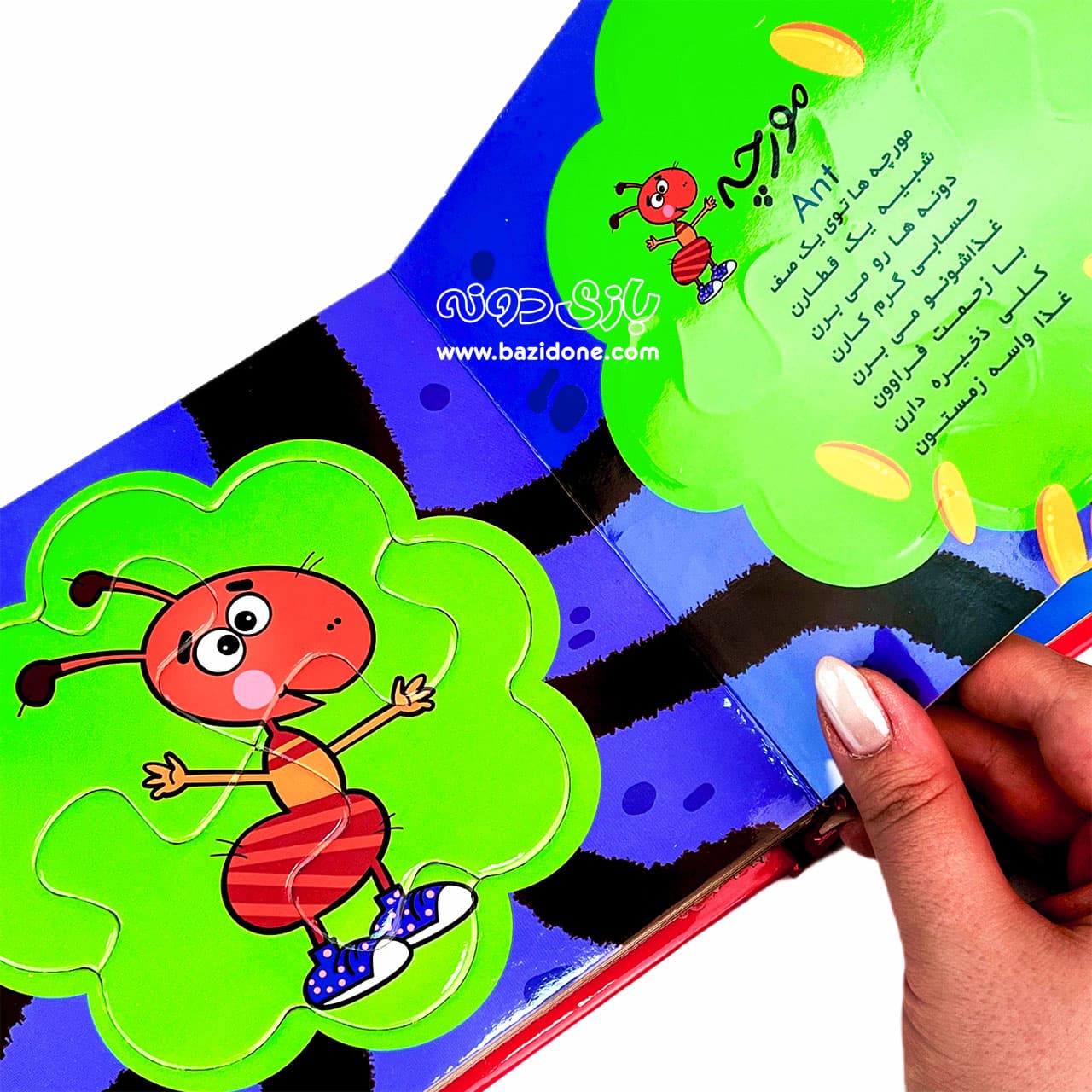 کتاب حشرات ( بخون و بچین ) — تصویر ۵