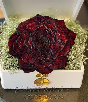 ارسال گل طبیعی برای سالن حجاب تهران