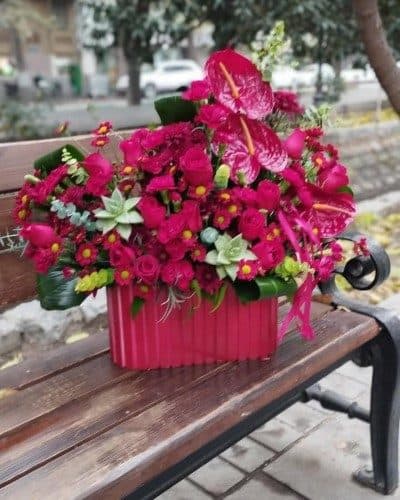 چگونه می‌توانم برای روز حسابدار گل زیبا و خاص سفارش دهم؟