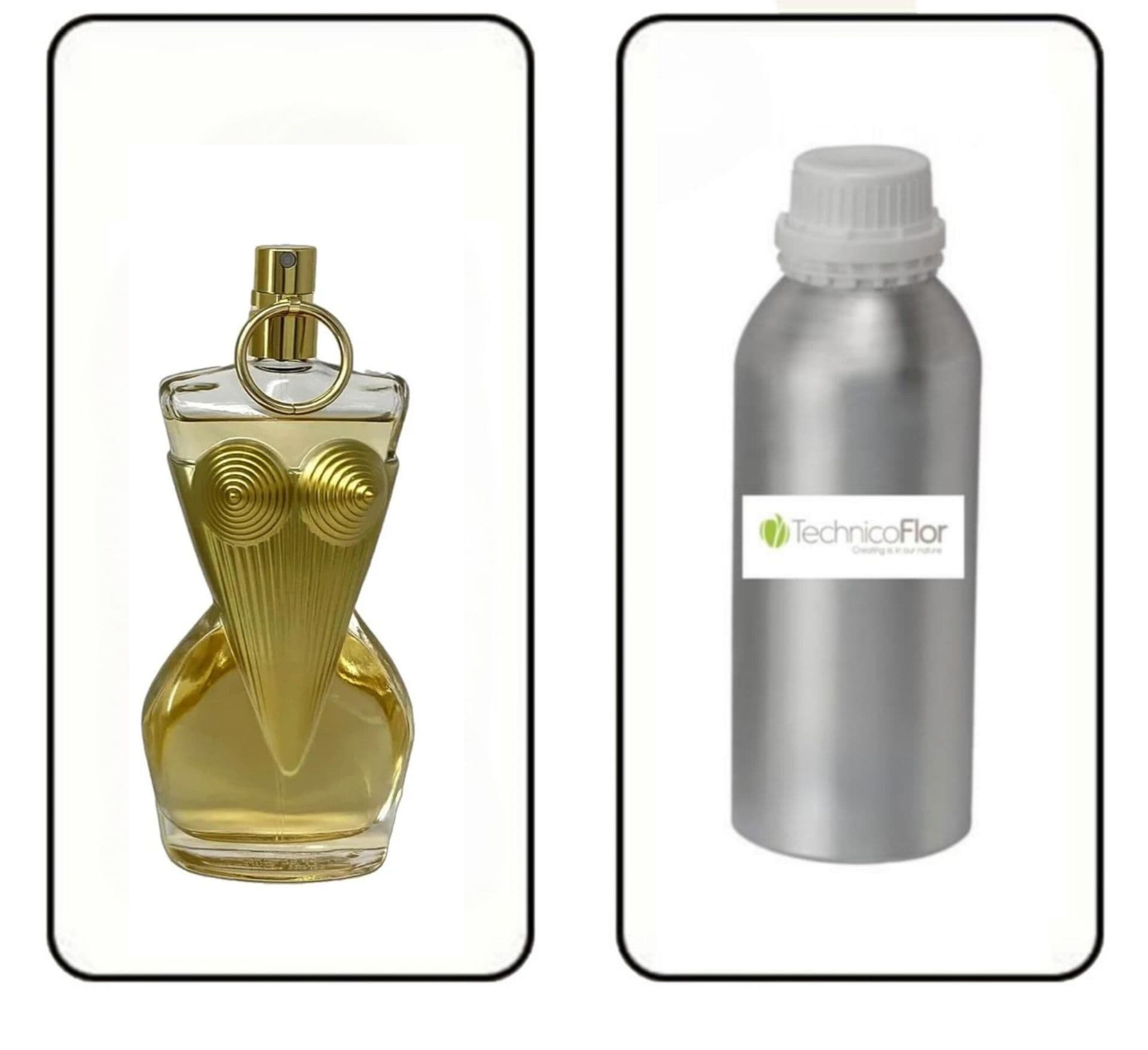 عطر گرمی دیواین ژان پل گوتیه برند تکنیکوفلور — تصویر ۲