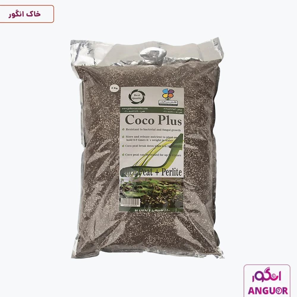 کوکو پلاس گلباران سبز گیلان بسته 4 کیلوگرمی | Golbarane Sabze Gilan — تصویر ۲