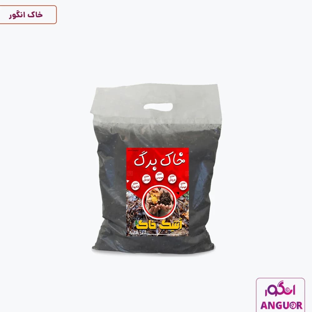 خاک برگ آنتیک وزن 5 کیلوگرم — تصویر ۲