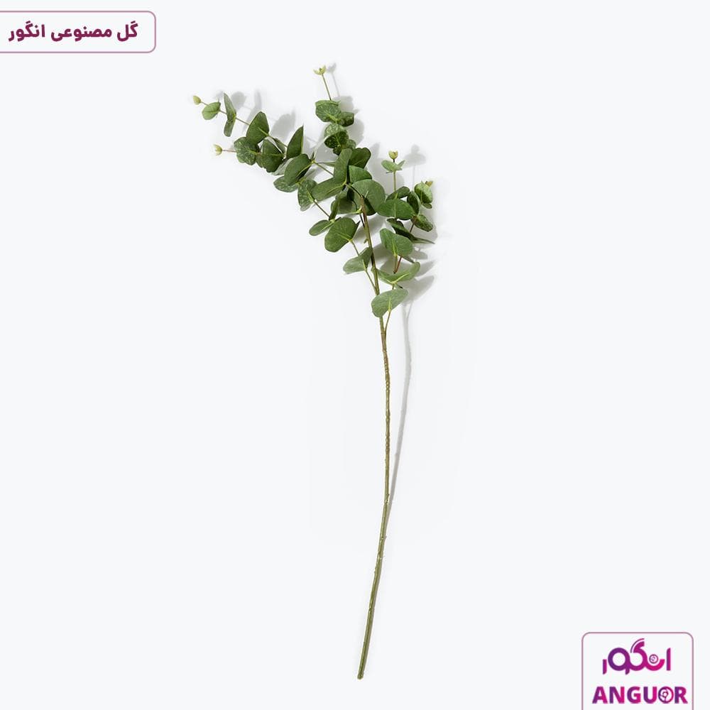 تک شاخه مصنوعی ( اکالیپتوس )