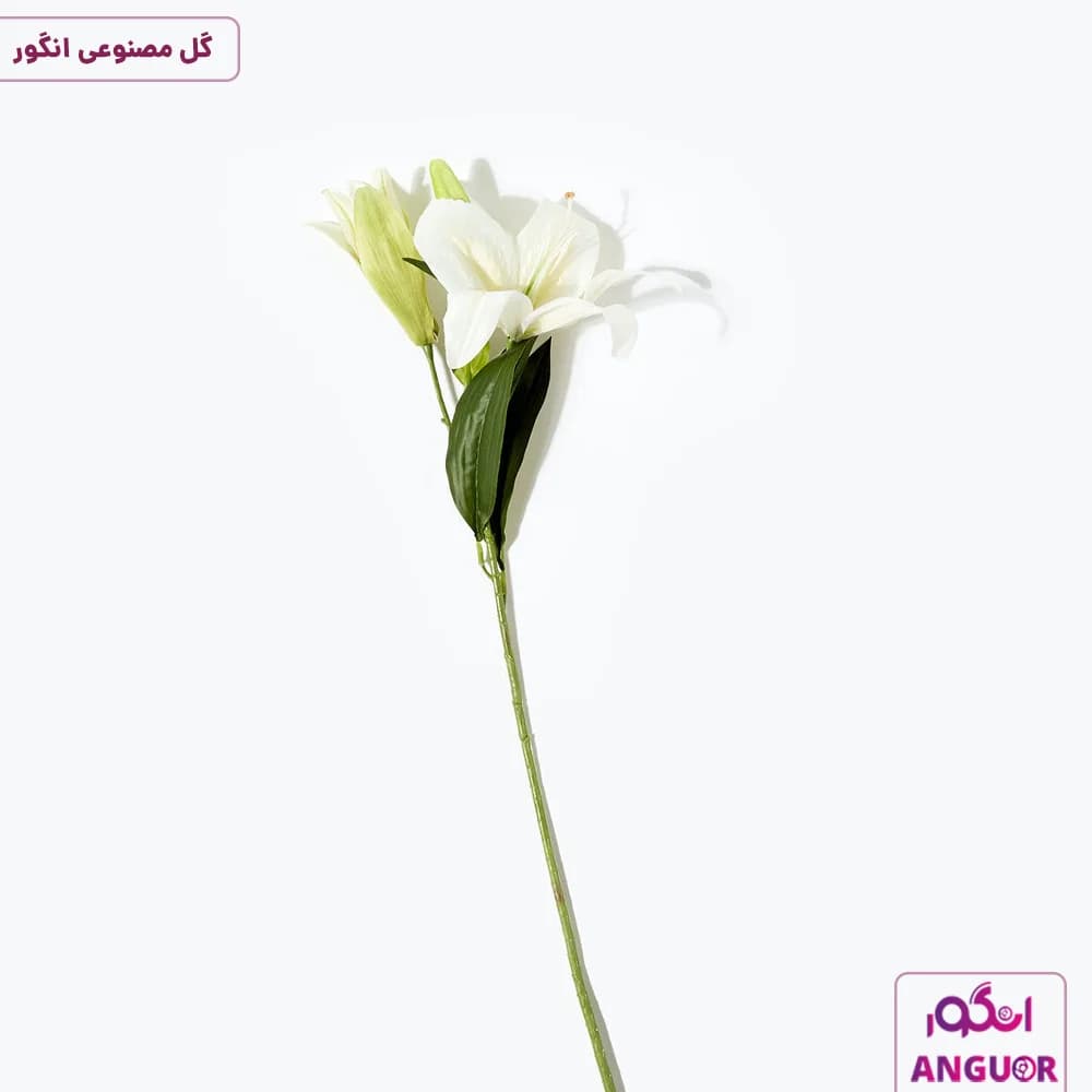 تگ شاخه مصنوعی ( لیلیوم) — تصویر ۲