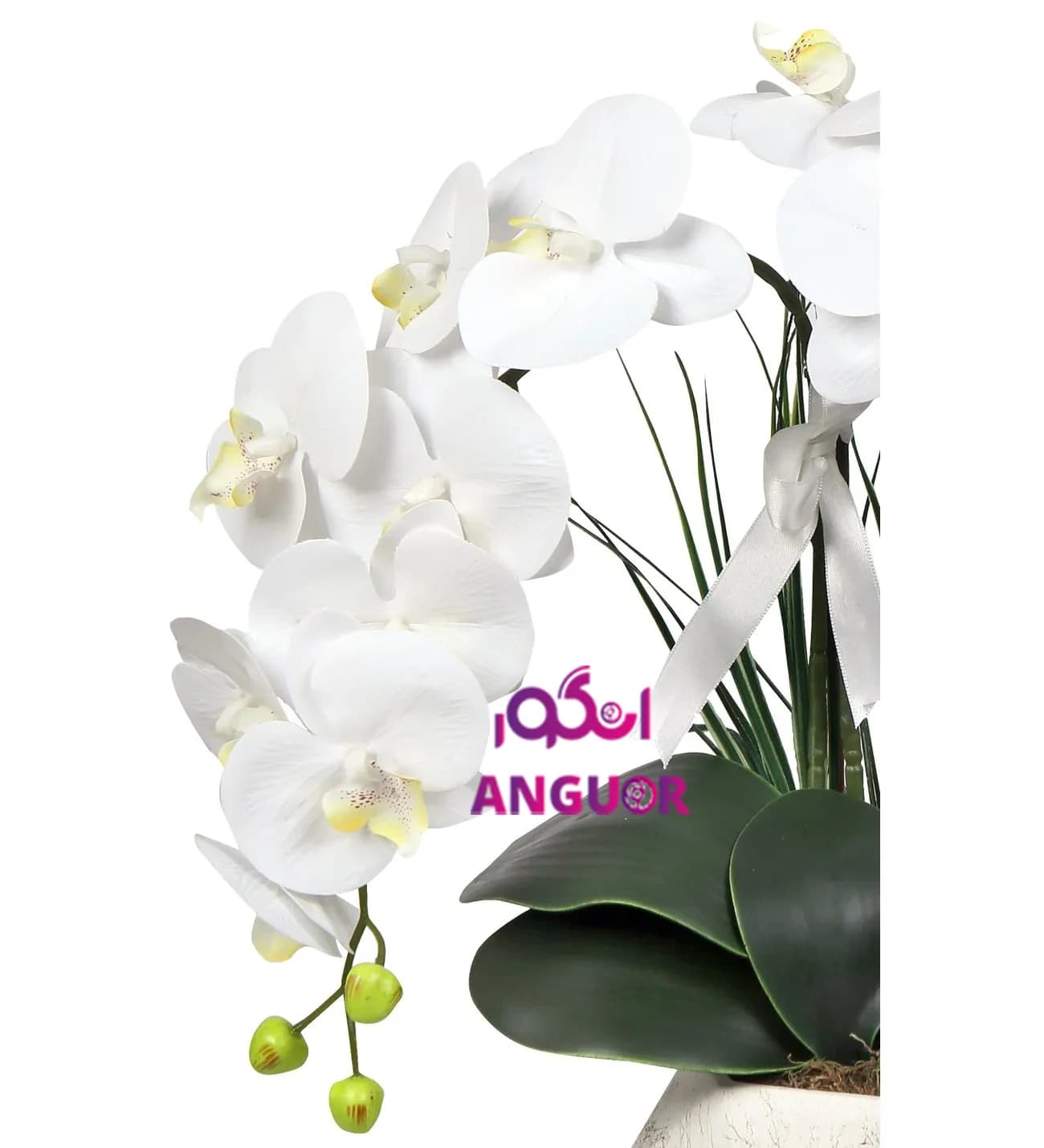 گلدان مصنوعی وارداتی ارکیده سفید2 شاخه (40 تا 50 سانتی) — تصویر ۴