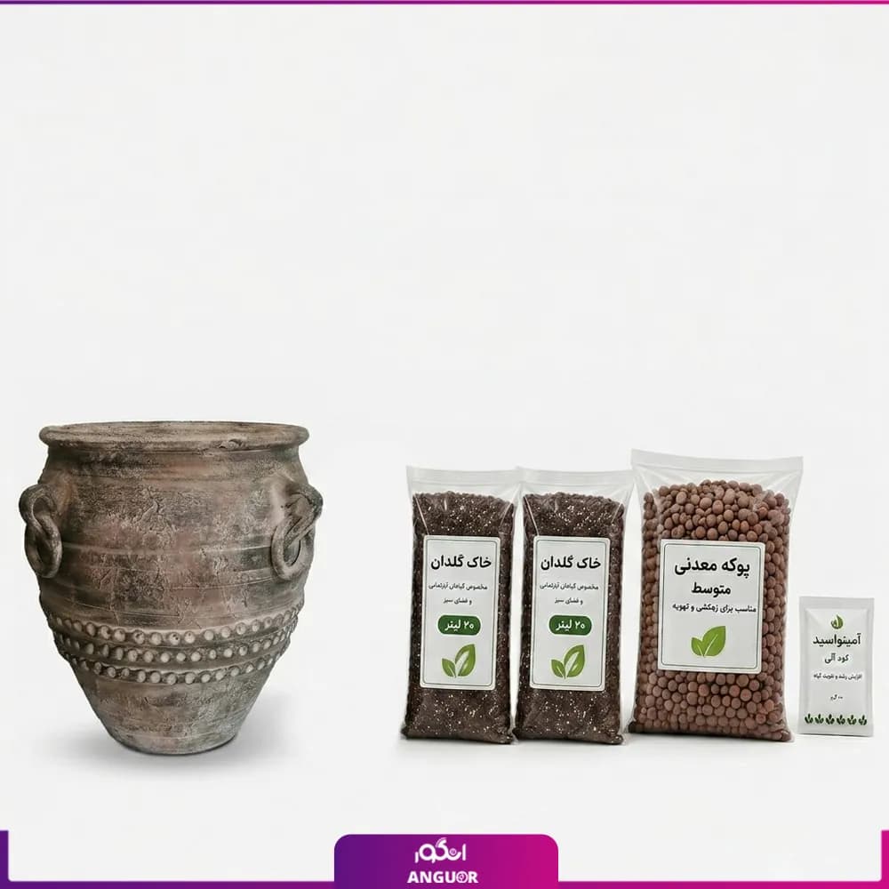 گلدان سفالی ساده با پک کاشت