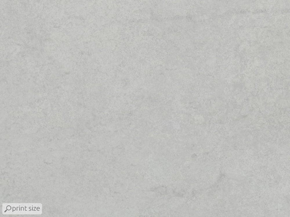 پوستر دیواری گل ساده و کوچک M10276600 — تصویر ۵