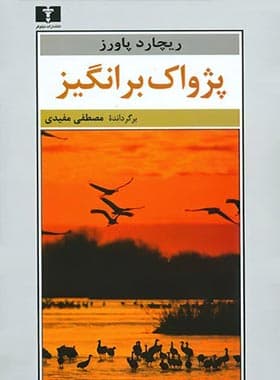 پژواک برانگیز
