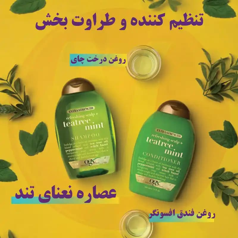 شامپو درخت چای او جی ایکس حاوی عصاره نعنا حجم 385 میل — تصویر ۴