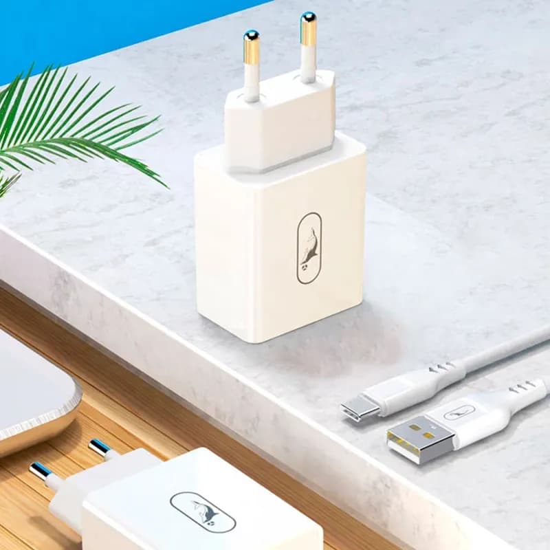 شارژر دیواری 10.5 وات 2.1A اسکای دلفین مدل SC30T + کابل تایپ سی — تصویر ۵