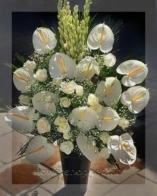 گلفروشی نزدیک کوچه سهیل