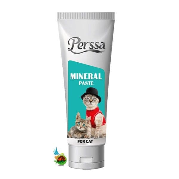 خمیر مینرال گربه پرسا Perssa Mineral for Cat وزن 100 گرم