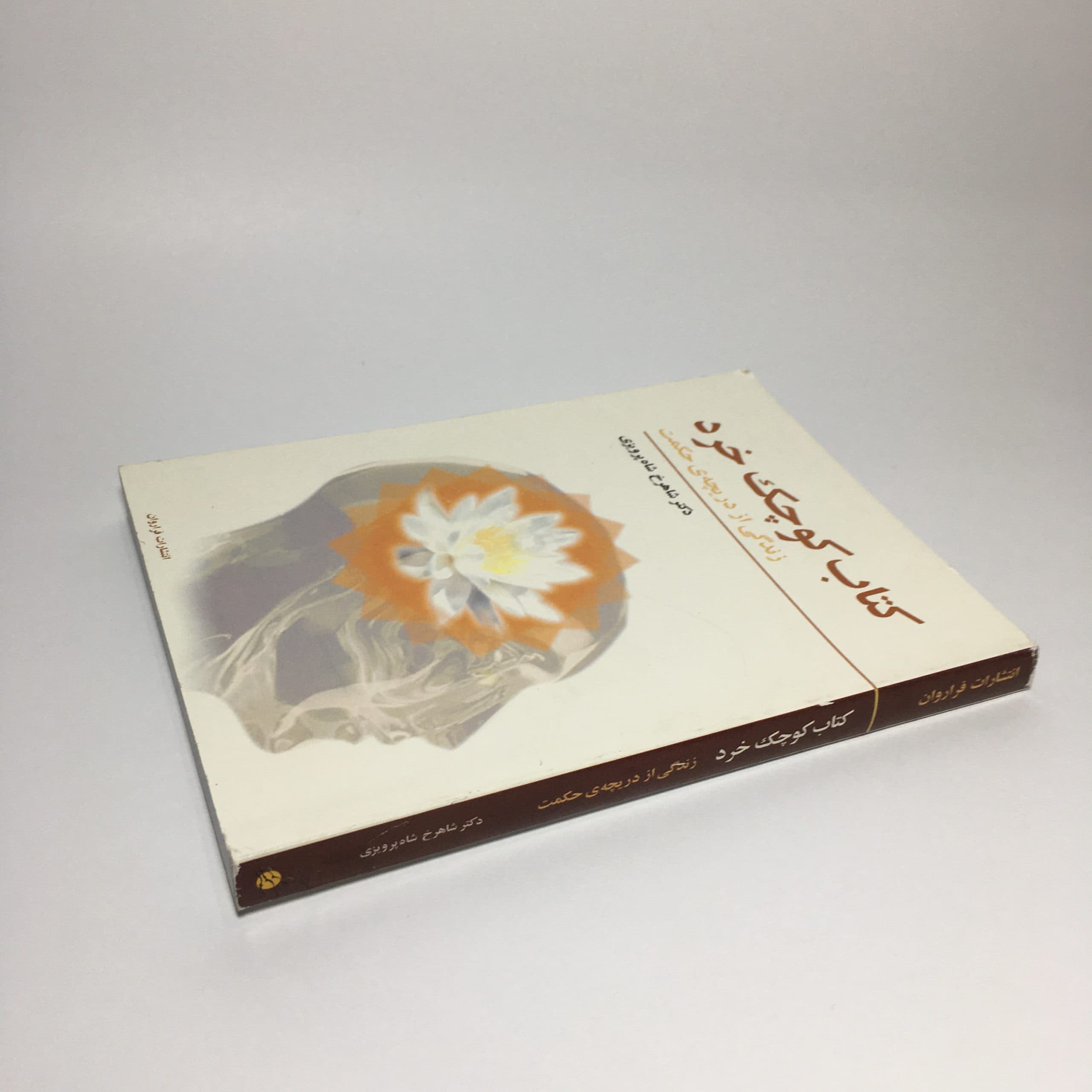کتاب کوچک خرد اثر شاهرخ شاه پرویزی — تصویر ۳