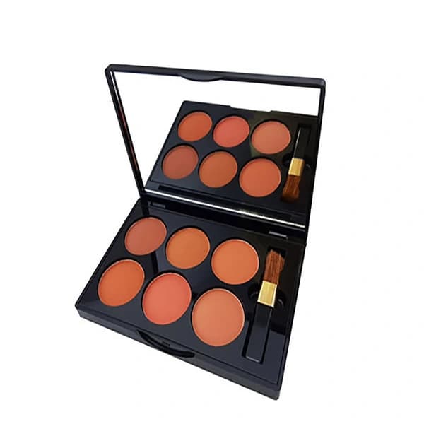 پالت رژ گونه 6 رنگ دایسل Daycell اصلی