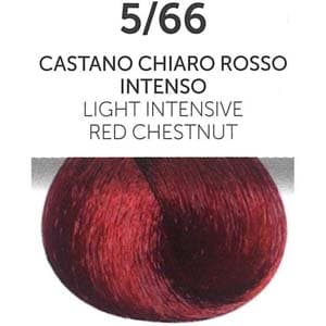 رنگ مو دائمی اویستر LIGHT INTENSIVE RED CHESTNUT شماره 5/66 — تصویر ۲