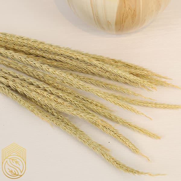 گل خشک طبیعی گندم کد sh153