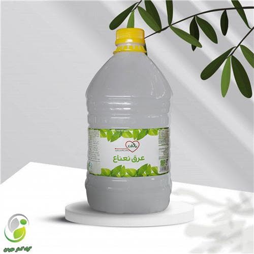 عرق نعنا 4 لیتری پارف(کد01)