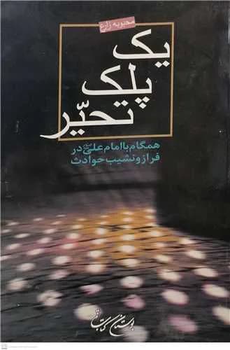 یک پلک تحیر / همگام با امام علی (ع) در فراز نشیب حوادث/