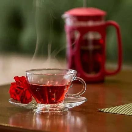 فنجان نعلبکی پنگوئن پاشاباغچه کد98396