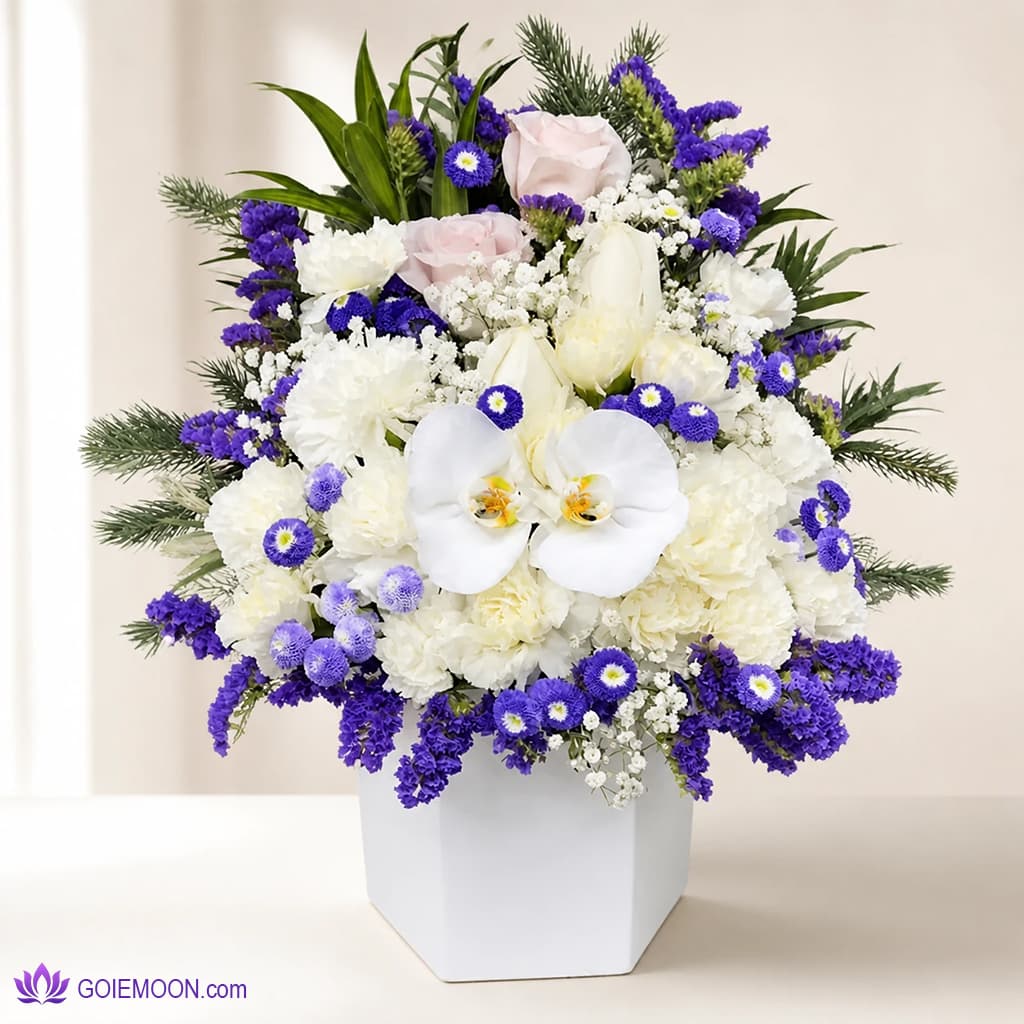 باکس گل ویس